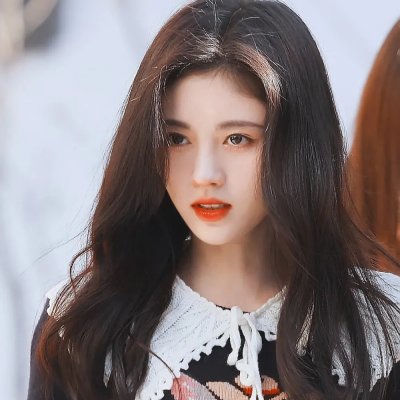 女王鲨 海报
